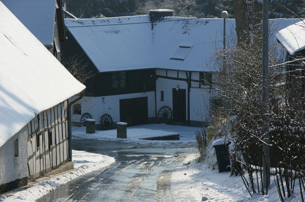 Eifelhoeve In Benenberg Hellenthal Pokoj fotografie